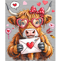 Valentine's Day-QRJ  5302